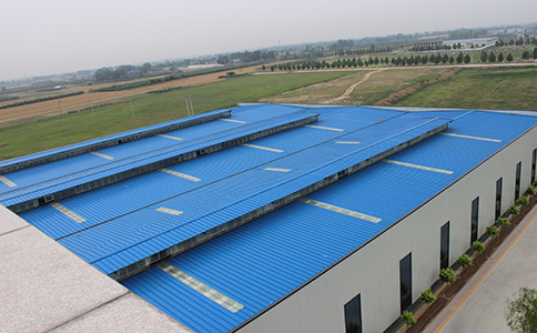 IMG_8465.jpg IMG_8465.jpg