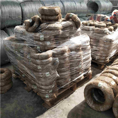 IMG_20190516_160600.jpg IMG_20190516_160600.jpg